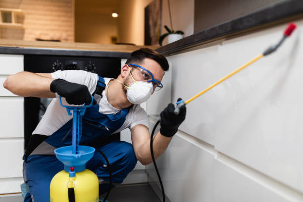 Best Affordable Pest Control Services  in Harlan, IN