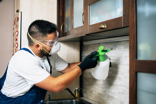 Pest Prevention Services in Harlan, IN